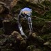 Gothic Moonstone Ring with Twisting Nature Motif|Unique Design for Women