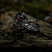 Gothic-Inspired Silver Ring Set with Red Garnet Gemstones