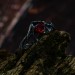 Handcrafted Gothic Silver Ring with Crimson Gem