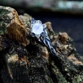 Gothic Moonstone Ring with Enchanted Branch Design– Unique Moon Flower Promise Ring for Women