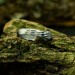 Gothic Dragon Scale Ring with Bold Elegance