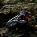 Bold Gothic Ring with Fiery Garnet Gemstone
