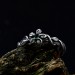 Delicate Braided Twig Engagement Ring – Nature Floral Oxidized Emerald Wedding Jewelry