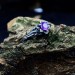 Gothic Amethyst Ring with Intricate Floral Design