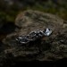 Crescent Moon Gothic Ring with Intricate Woven Band