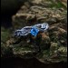 Gothic Silver Ring with Blue Topaz and Nature Design