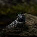 Elegant Gothic Ring with Black Onyx Gemstone