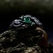 Exquisite Silver Ring with Emerald and Nature Motifs