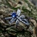 Gothic Silver Ring with Dragonfly and Blue Topaz