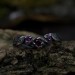 Gothic Silver Ring with Clustered Ruby Accents