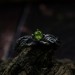 Elegant Gothic Ring with Peridot Gemstone