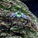 Gothic Peridot Ring with Mystical Leaf Motif