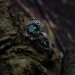 Emerald Guardian: Gothic Sterling Silver Ring with Dragon Claw Design