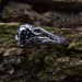 Gothic Silver Skeleton Hand Ring – Embrace Dark Fantasy