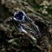 Twilight Veil: Gothic Sterling Silver Ring with Deep Sapphire