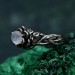 Gothic Sterling Silver Ring with Moonstone: A Celestial Dream