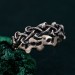 Mushroom Fantasy Ring - Nature-Inspired Silver Forest Symphony Ring