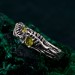 Artisan-Crafted Peridot Silver Twig Ring - Unique Woodland Engagement Band