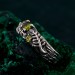Artisan-Crafted Peridot Silver Twig Ring - Unique Woodland Engagement Band