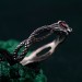 Emerald Snake Engagement Ring – Elven Fantasy Ouroboros Wedding Band, Infinity Serpent Design, Unique Wedding Ring