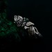 Unique Emerald Twig Engagement Ring – Sterling Silver Nature-Inspired Ring, Whimsical Butterfly Design, Artisan Crafted Jewelry