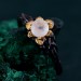 Enchanted Forest Ruby Ring - Unique Woodland Whispers and Blossom Twig Ring