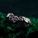 Artisan Amethyst Silver Ring - Luxurious Gold Overlay and Elegant Purple Gemstone
