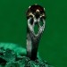 Whispers of the Woods: Gothic Garnet Ring