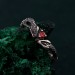 Serpentine Embrace Ring: Twisted and Entwined Snake Band