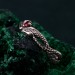 Serpentine Embrace Ring: Twisted and Entwined Snake Band