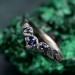 Wedding Ring Forest Branch – Wooden Harmony Wedding Band, Branch of Love, Nature-Inspired Forest Wedding Ring