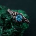 Unique Topaz Blossom Twig Ring – Enchanted Forest Design, Woodland Whispers Ring, Whimsical Vine Ring
