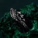 Stunning Unique Silver Ring - Unisex Gothic Wedding Band with Mushrooms