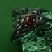 Whispers of the Woods: Gothic Garnet Ring
