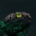 Rose Garden Silver Ring: Elegant Blossoming Rose Twig Design