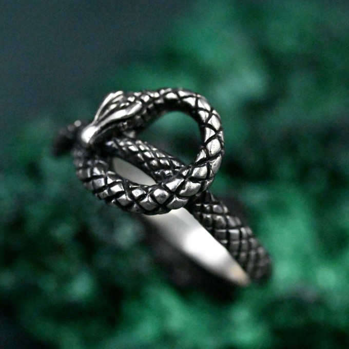 Unique Handcrafted Silver Serpent Gorgon Ring – Mystical Gothic Design, Powerful Symbolic Jewelry Gift