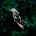 Twig & Leaf Floral Silver Ring – Fantasy Nature Motif Engagement Ring