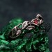 Garnet Twig Silver Ring with Dainty Branch and Petite Leaf Design