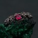 Delicate Rose Branch Ring – Blossoming Rose Garden Silver Ring