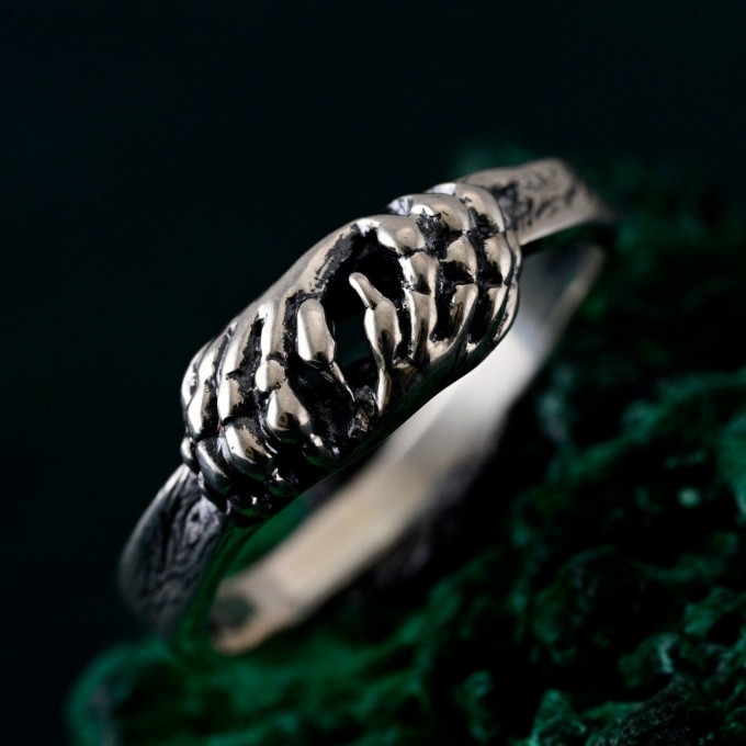 Handcrafted Lion's Paw Sterling Silver Ring – Artisan Animal Jewelry for Men and Women