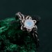 Blossom Twig Ring - Enchanted Forest and Woodland Whispers Design