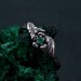 Elegant Silver Butterfly Emerald Ring – Winged Emerald and Silver Grace
