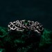 Sterling Silver Leaf with Emerald – Emerald Oak Leaf Silver Ring, Oak Leaf and Emerald Silver Ring, Silver Oak Ring, Silver Oak Leaf Band