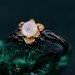 Enchanted Forest Ring - Blossom Twig and Woodland Whispers Design