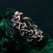 Silver Mushroom Ring: Nature-Inspired Forest Symphony Fantasy Ring